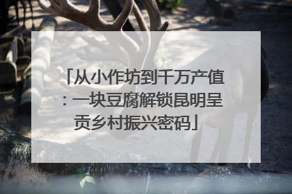 从小作坊到千万产值：一块豆腐解锁昆明呈贡乡村振兴密码