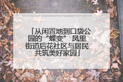 从闲置地到口袋公园的“蝶变” 凤里街道后花社区与居民共筑美好家园