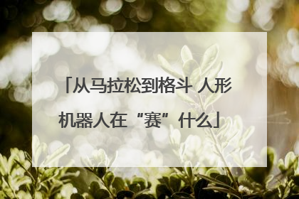 从马拉松到格斗 人形机器人在“赛”什么