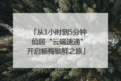 从1小时到5分钟 仙居“云端速递”开启杨梅锁鲜之旅