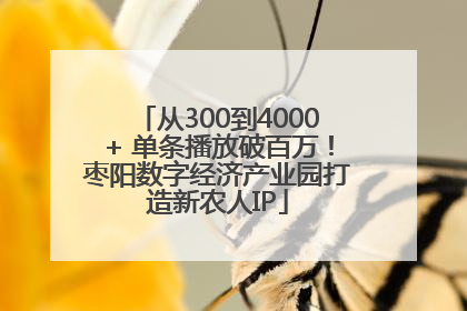从300到4000+ 单条播放破百万！枣阳数字经济产业园打造新农人IP