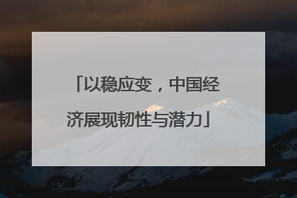 以稳应变，中国经济展现韧性与潜力