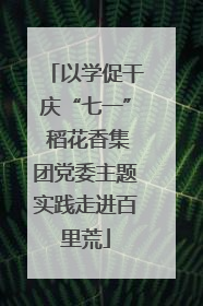 以学促干庆“七一” 稻花香集团党委主题实践走进百里荒