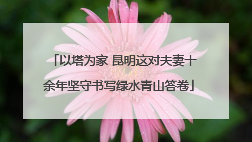 以塔为家 昆明这对夫妻十余年坚守书写绿水青山答卷