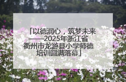 以德润心，筑梦未来——2025年浙江省衢州市龙游县小学师德培训圆满落幕