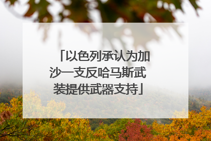 以色列承认为加沙一支反哈马斯武装提供武器支持