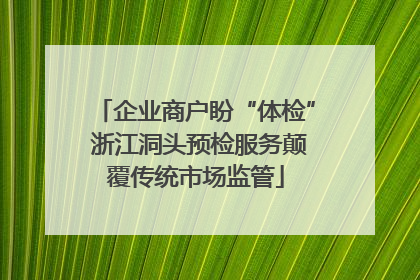 企业商户盼“体检” 浙江洞头预检服务颠覆传统市场监管