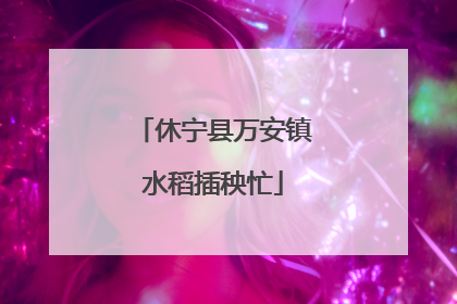 休宁县万安镇水稻插秧忙