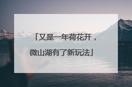又是一年荷花开，微山湖有了新玩法