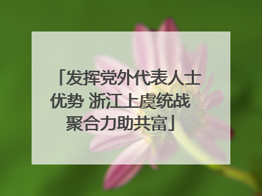 发挥党外代表人士优势 浙江上虞统战聚合力助共富