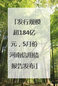 发行规模超184亿元，5月份河南信用债报告发布