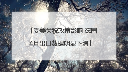 受美关税政策影响 德国4月出口数据明显下滑
