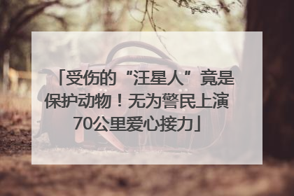 受伤的“汪星人”竟是保护动物！无为警民上演70公里爱心接力