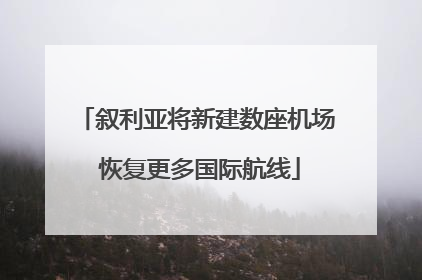 叙利亚将新建数座机场 恢复更多国际航线