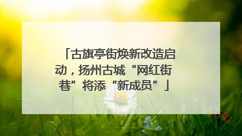 古旗亭街焕新改造启动，扬州古城“网红街巷”将添“新成员”
