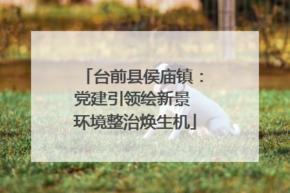 台前县侯庙镇：党建引领绘新景 环境整治焕生机