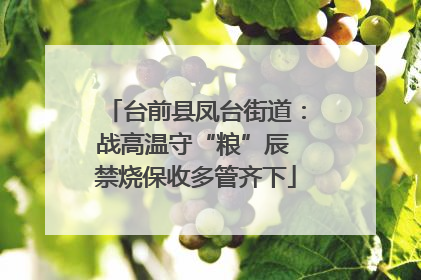 台前县凤台街道：战高温守“粮”辰 禁烧保收多管齐下