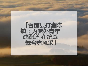台前县打渔陈镇：为党外青年建跑道 在统战舞台竞风采