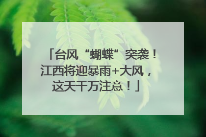 台风“蝴蝶”突袭！江西将迎暴雨+大风，这天千万注意！
