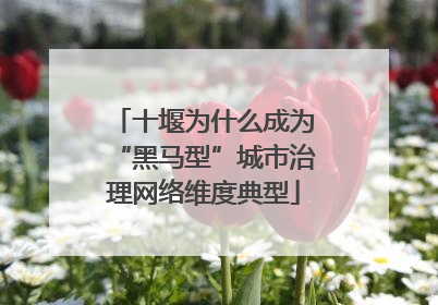 十堰为什么成为“黑马型”城市治理网络维度典型