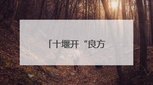 十堰开“良方”，畅通实体经济的“筋络”