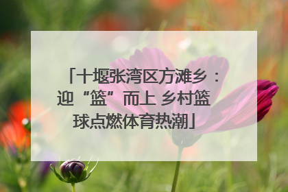 十堰张湾区方滩乡：迎“篮”而上 乡村篮球点燃体育热潮