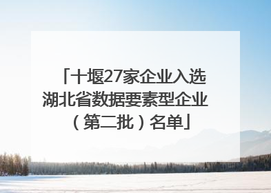十堰27家企业入选湖北省数据要素型企业（第二批）名单