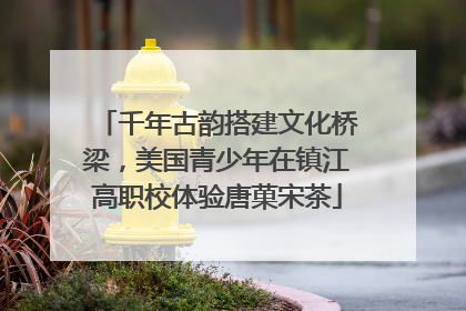 千年古韵搭建文化桥梁，美国青少年在镇江高职校体验唐菓宋茶