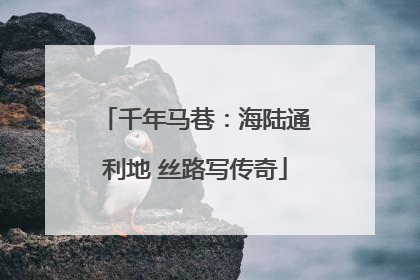 千年马巷：海陆通利地 丝路写传奇