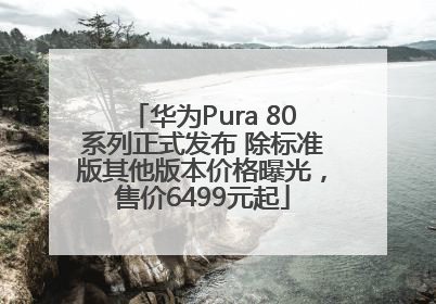 华为Pura 80系列正式发布 除标准版其他版本价格曝光，售价6499元起