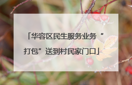 华容区民生服务业务“打包”送到村民家门口