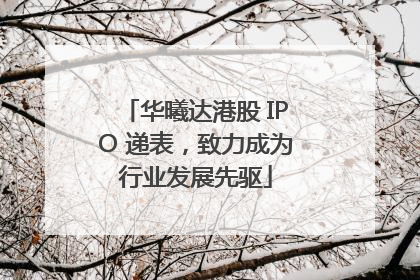 华曦达港股 IPO 递表，致力成为行业发展先驱