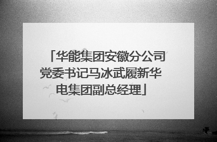 华能集团安徽分公司党委书记马冰武履新华电集团副总经理