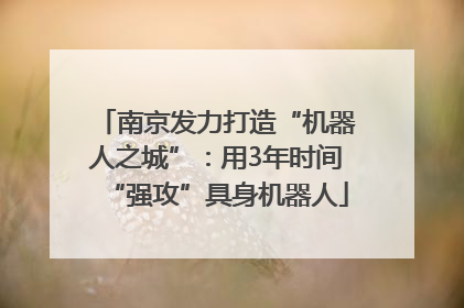 南京发力打造“机器人之城”：用3年时间“强攻”具身机器人