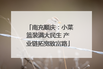 南充顺庆：小菜篮装满大民生 产业链拓宽致富路