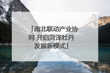 南北联动产业协同 开启菏泽牡丹发展新模式