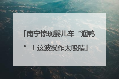 南宁惊现婴儿车“遛鸭”！这波操作太吸睛