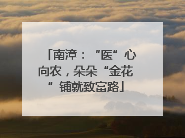 南漳：“医”心向农，朵朵“金花”铺就致富路