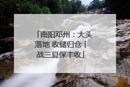 南阳邓州：大头落地 收储归仓丨战三夏保丰收