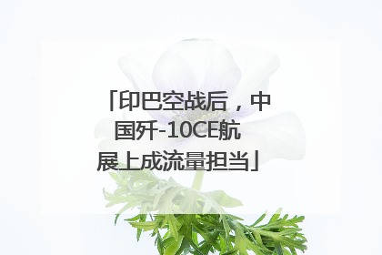 印巴空战后，中国歼-10CE航展上成流量担当