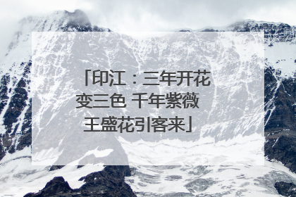 印江：三年开花变三色 千年紫薇王盛花引客来