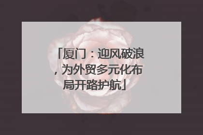 厦门：迎风破浪，为外贸多元化布局开路护航