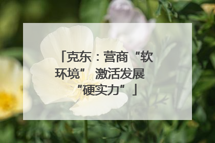 克东：营商“软环境” 激活发展“硬实力”