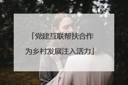 党建互联帮扶合作 为乡村发展注入活力