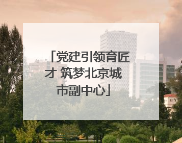 党建引领育匠才 筑梦北京城市副中心