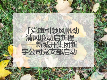 党旗引领风帆劲 清风廉动启新程——新城开集团新宇公司党支部启动“清风廉动党旗红”系列活动