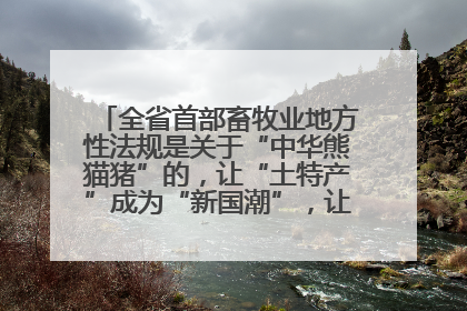 全省首部畜牧业地方性法规是关于“中华熊猫猪”的，让“土特产”成为“新国潮”，让“农产品”升格为“城市IP”
