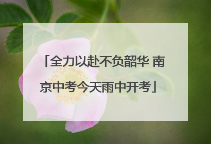 全力以赴不负韶华 南京中考今天雨中开考