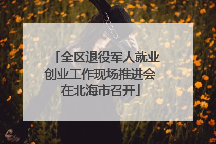 全区退役军人就业创业工作现场推进会在北海市召开