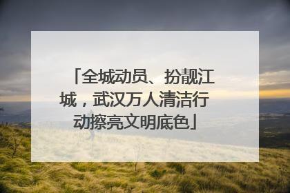 全城动员、扮靓江城，武汉万人清洁行动擦亮文明底色
